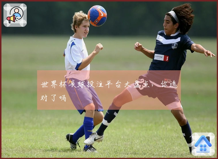 世界杯滚球投注平台大盘点，你选对了吗