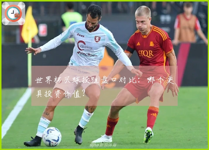 世界杯买球投注盘口对比：哪个更具投资价值？