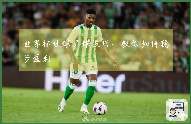 世界杯让球买球技巧，教你如何稳步盈利