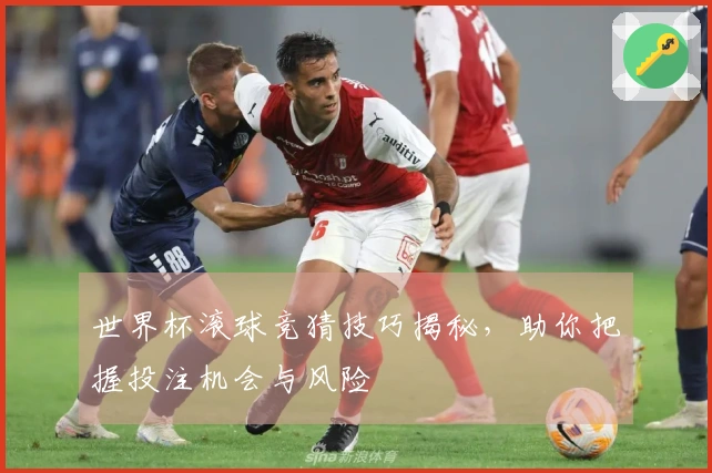 世界杯滚球竞猜技巧揭秘，助你把握投注机会与风险