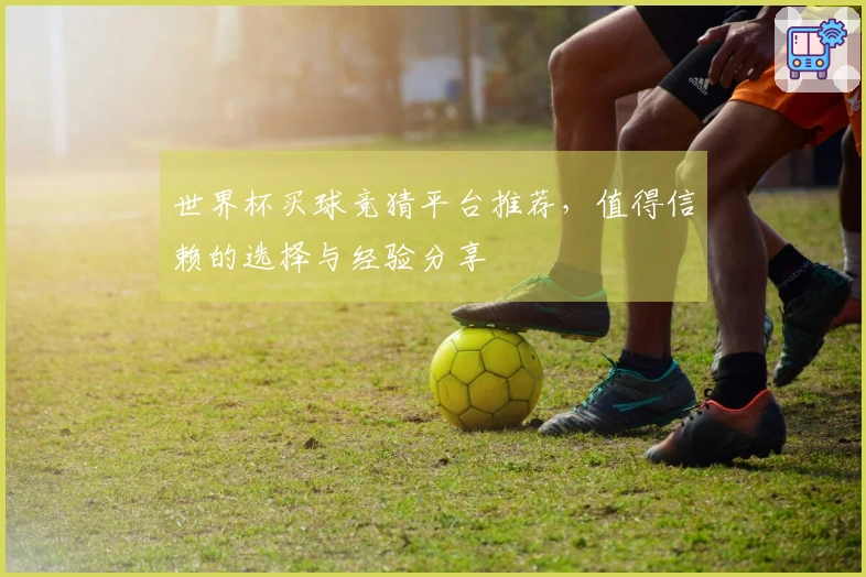 世界杯买球竞猜平台推荐，值得信赖的选择与经验分享