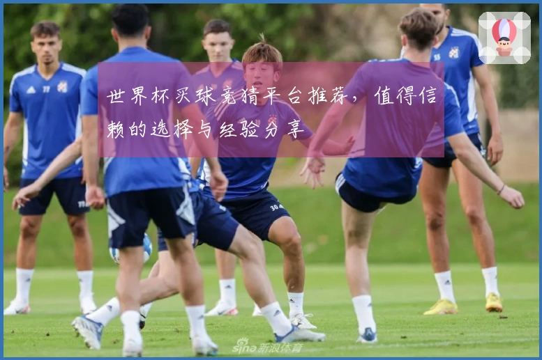 世界杯买球竞猜平台推荐，值得信赖的选择与经验分享